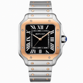 Cartier Santos de Cartier Two-Tone